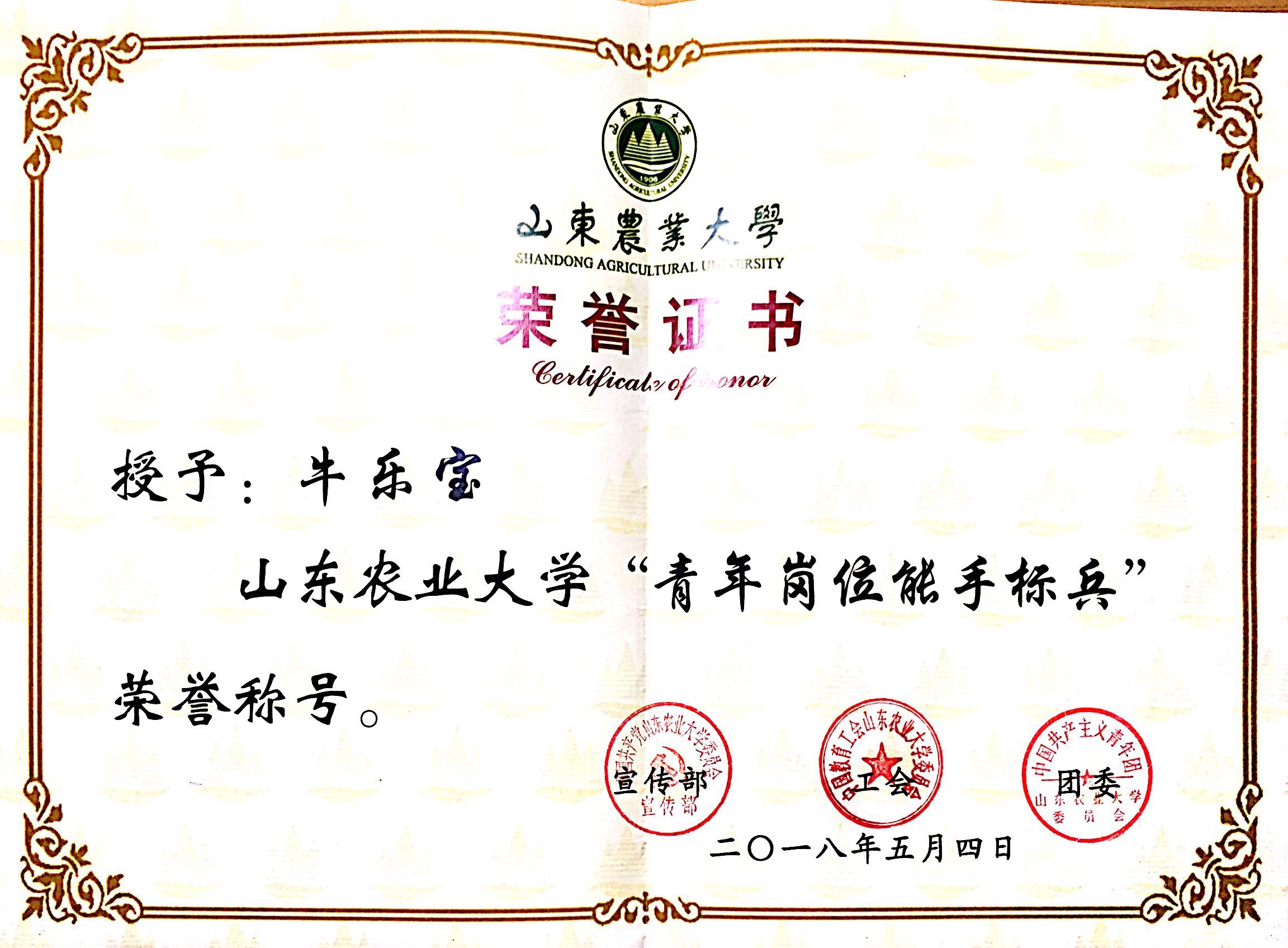 岗位能手标兵